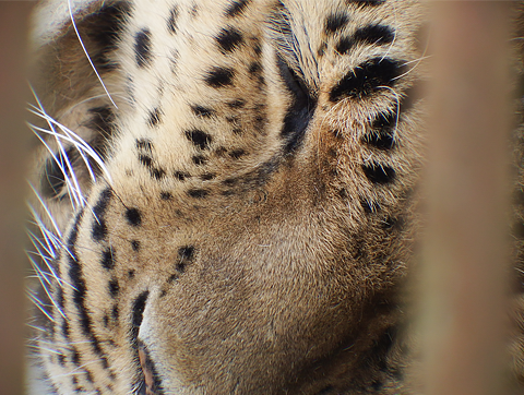 Tallinn Zoo