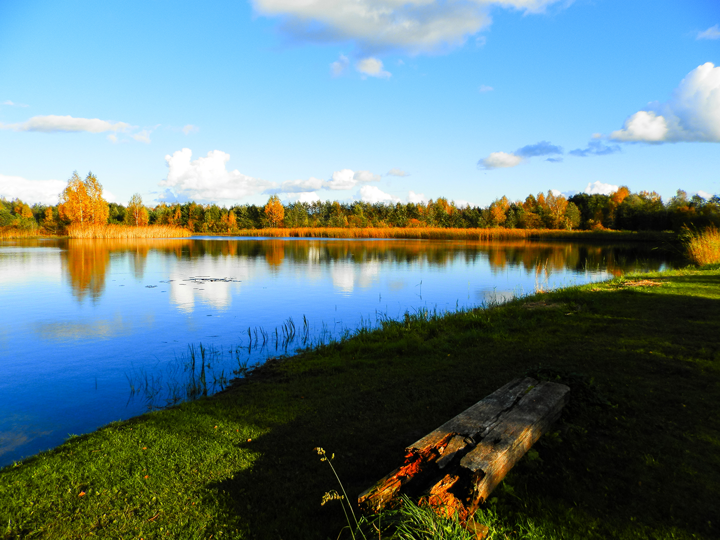 Türi tehisjärv