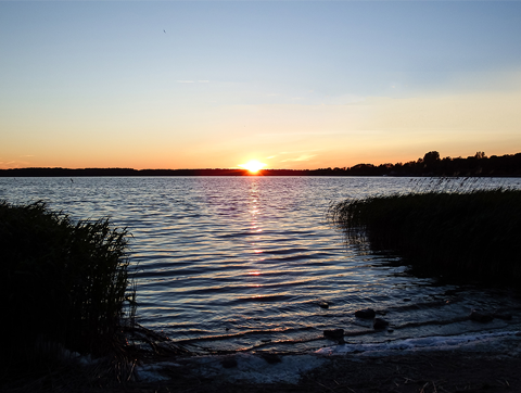 Harku järv
