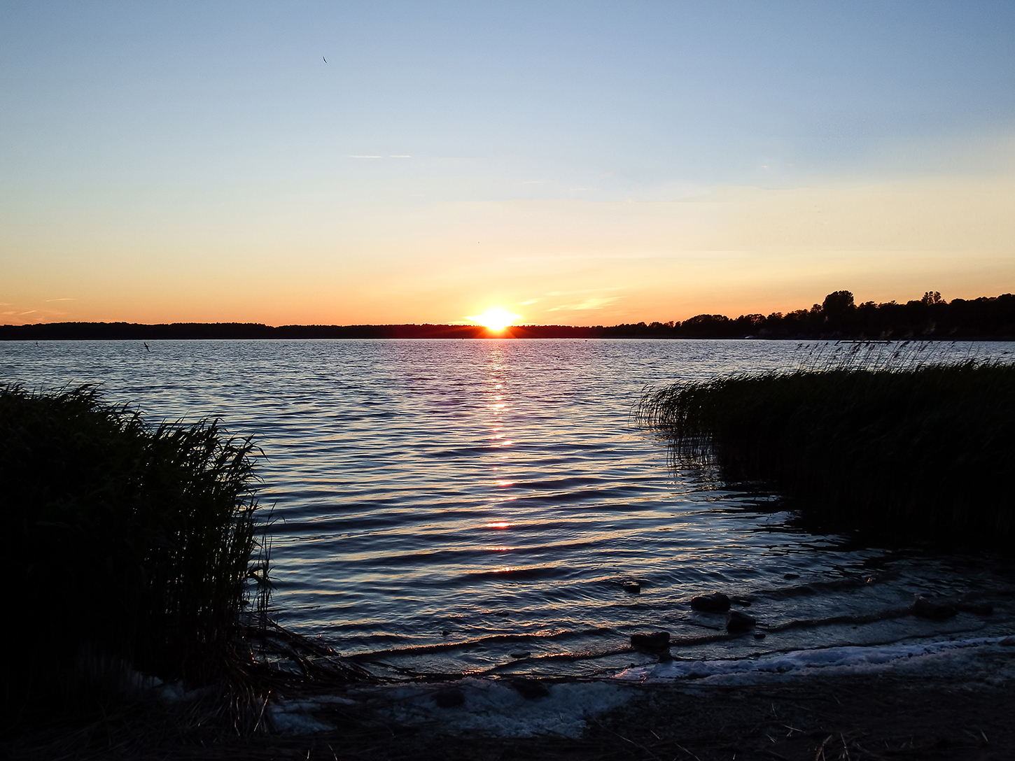 Harku järv