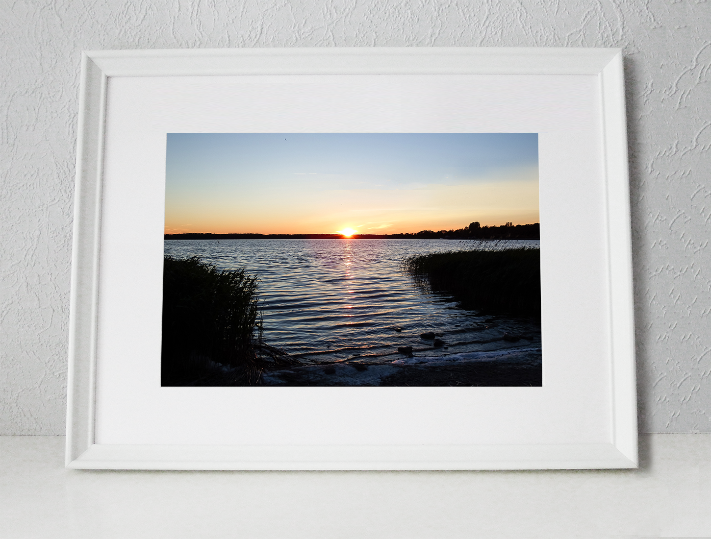 Harku järv